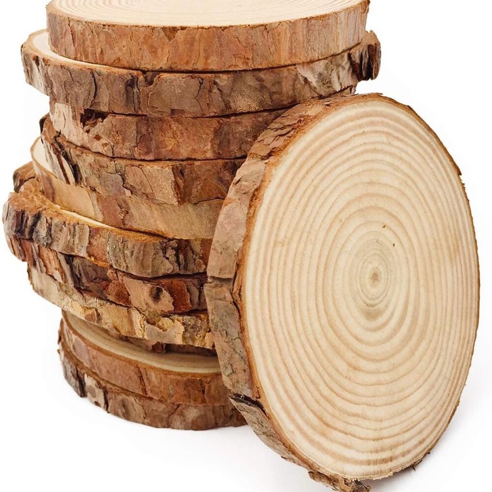 Unfinished Natural Wood Slices 12 Pcs 3.5-4 inch Craft Wood kit Circles Crafts C